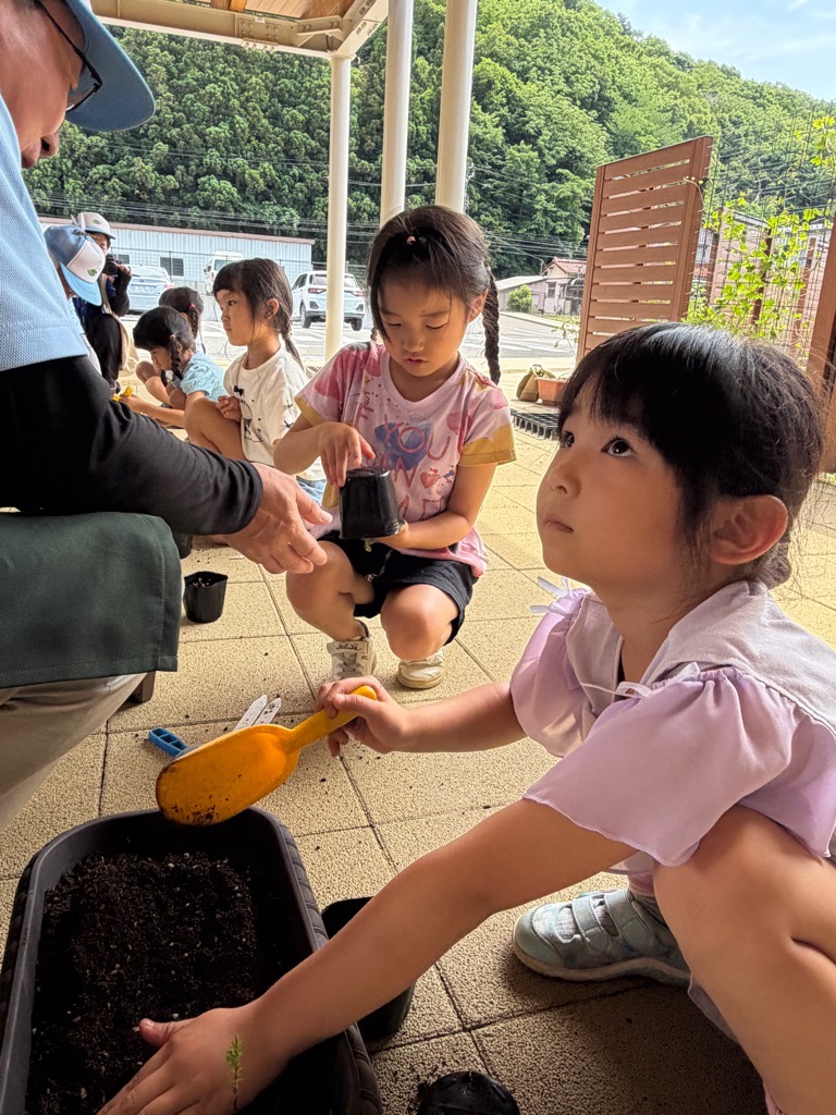 プランターに苗を植える園児