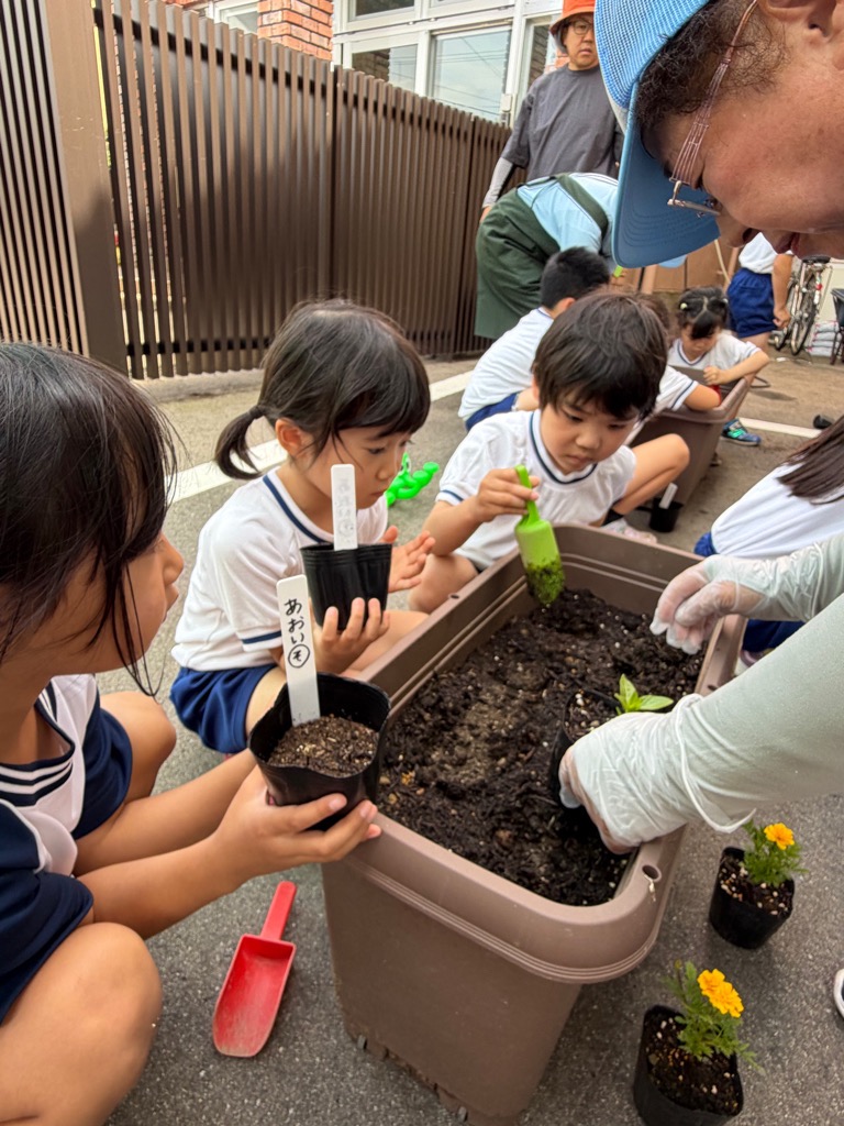 花の苗をプランターに植える園児