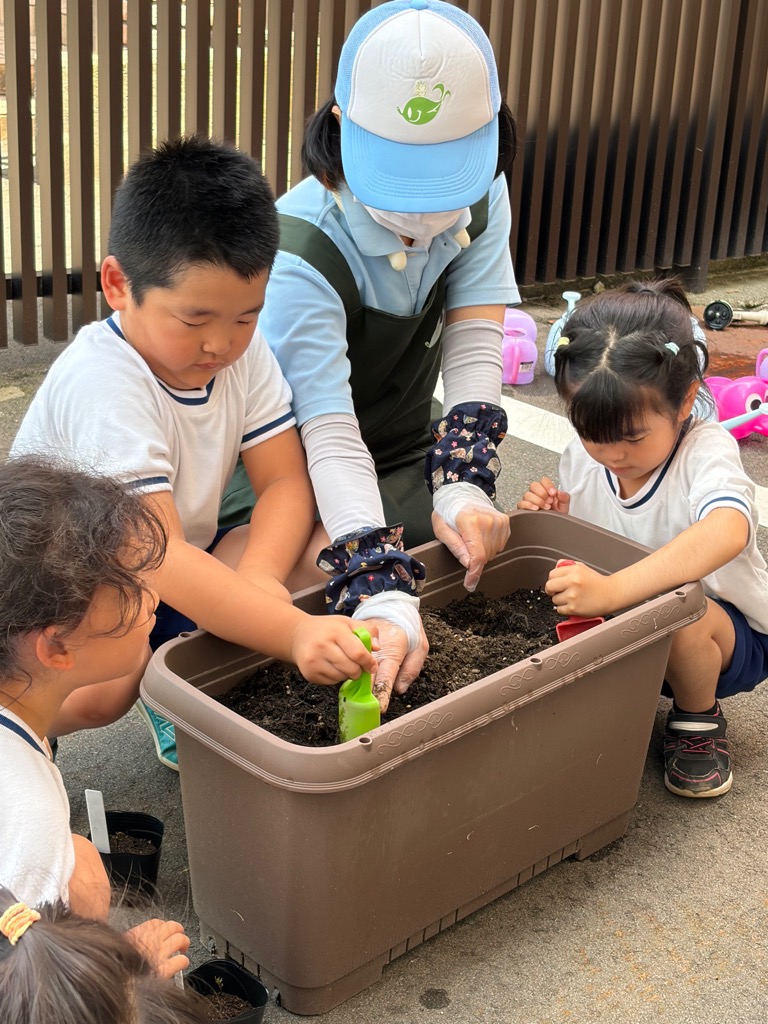 花の苗をプランターに植える園児