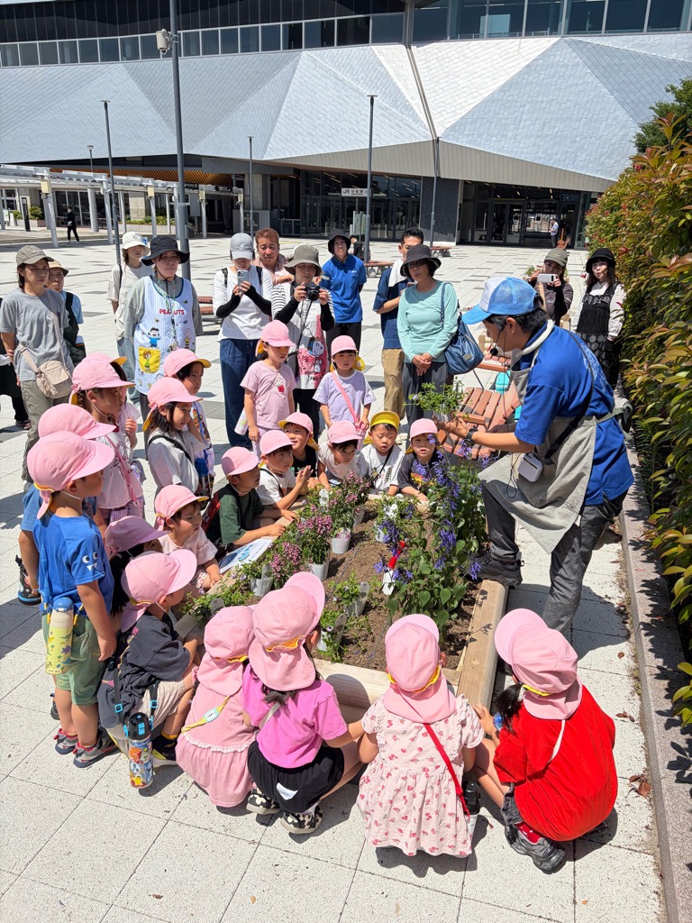 植え方の説明をする寺井先生