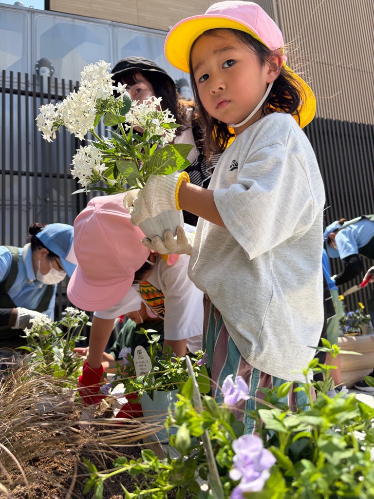 苗を花壇に植える園児