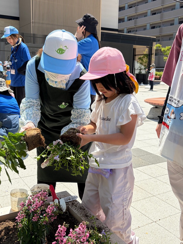 苗を花壇に植える園児