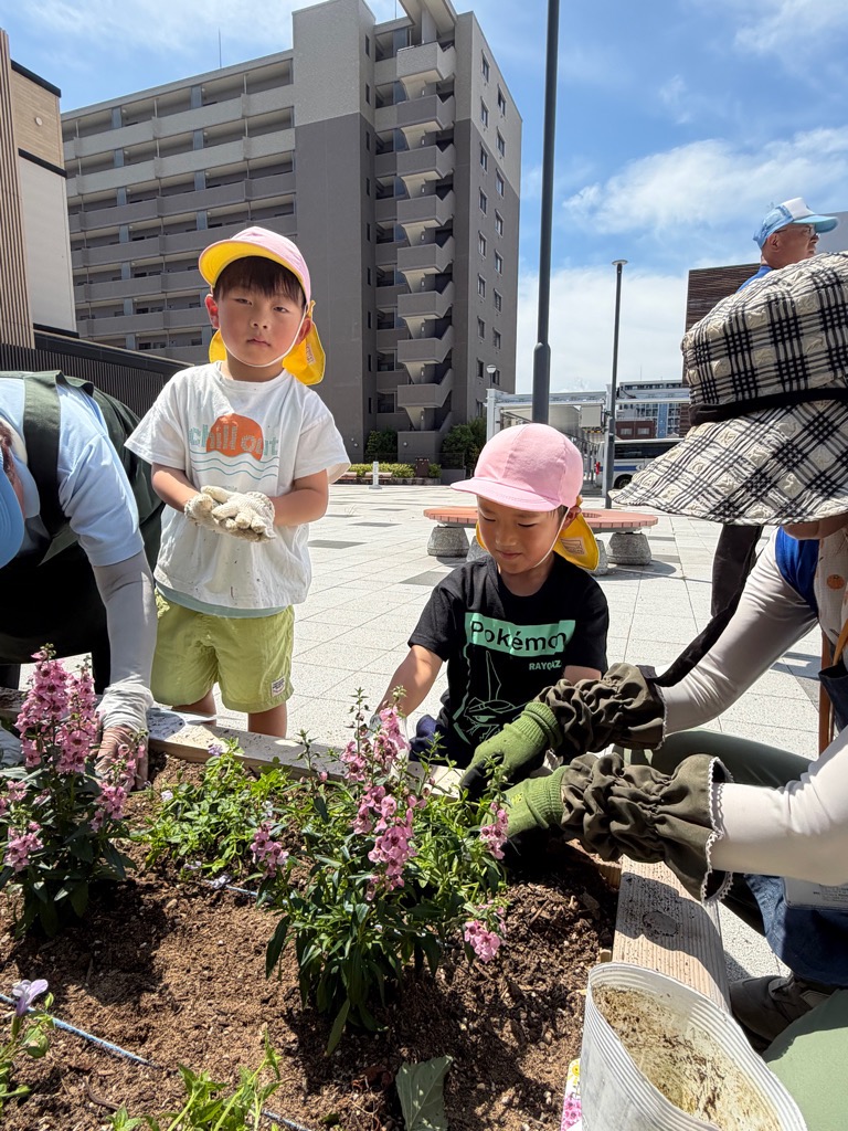 苗を花壇に植える園児
