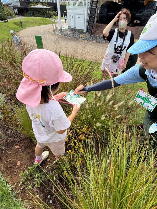 ナチュラルガーデンでクイズラリーをする園児達