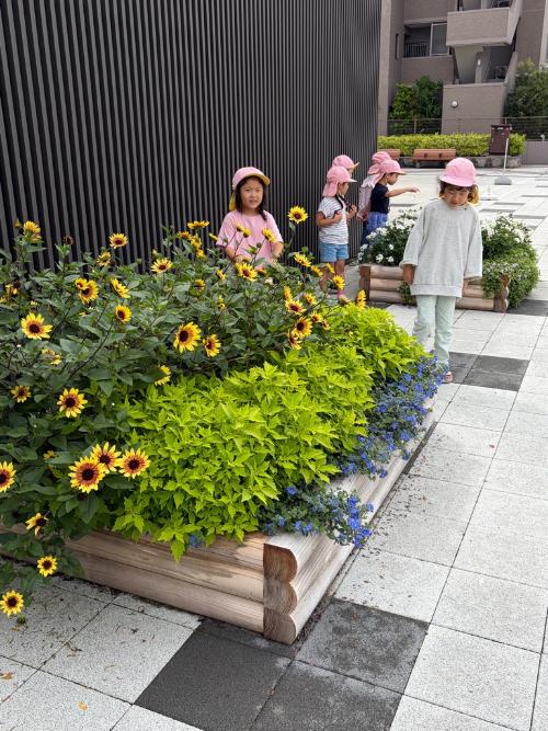 おもてなし花壇を観察する園児達