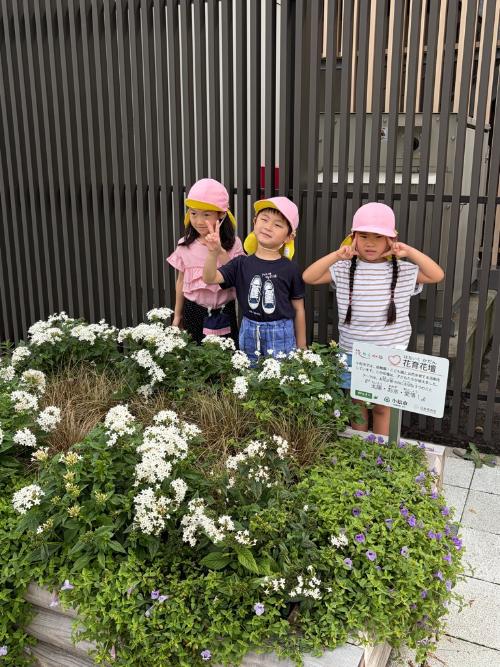 おもてなし花壇を観察する園児達