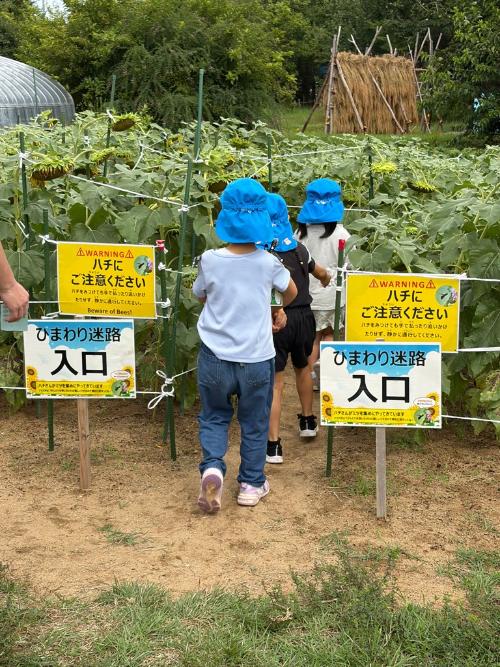 ナチュラルガーデンでクイズラリーをする園児達