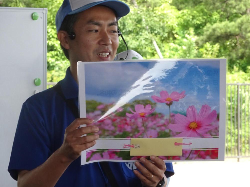 コスモスが書かれた用紙を寺井さんが両手で持ちながら説明をしている写真