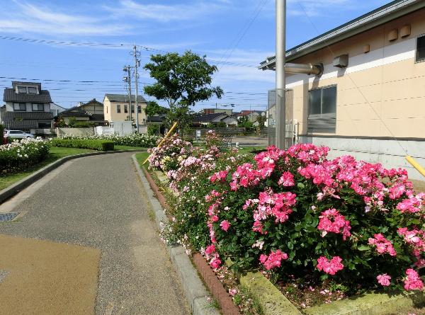 チャップル横花壇