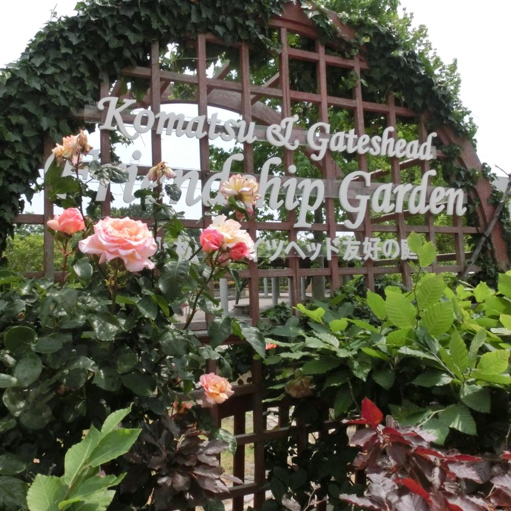 フレンドシップガーデン