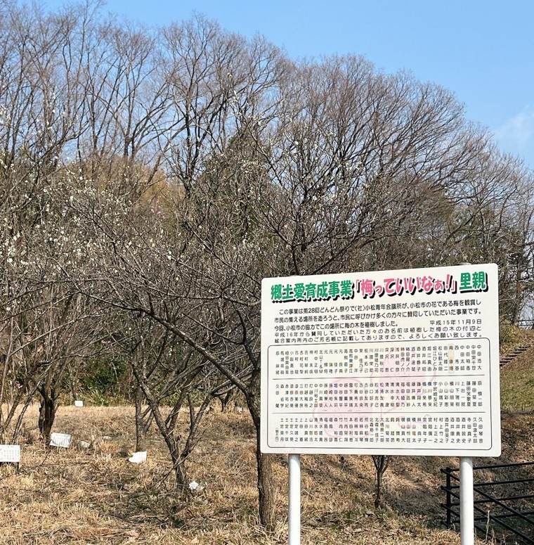 いこいの森の梅