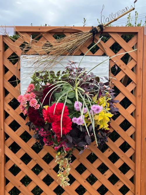 木場潟フローラの会 会長賞