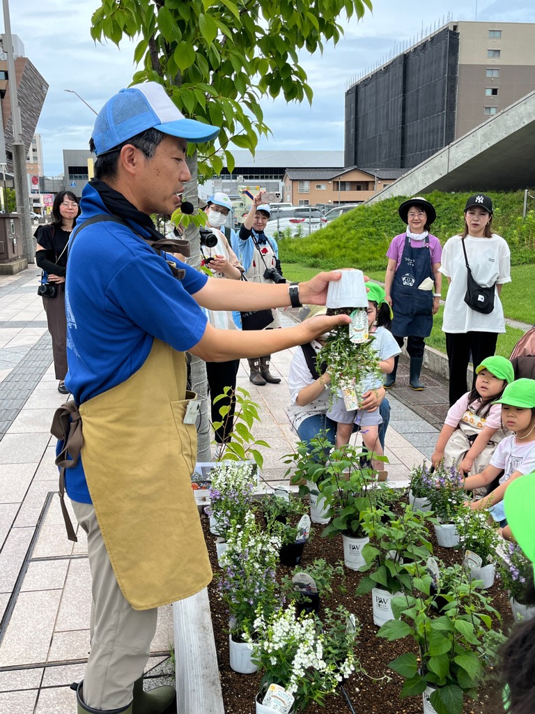 ポットから苗を取り出す寺井先生
