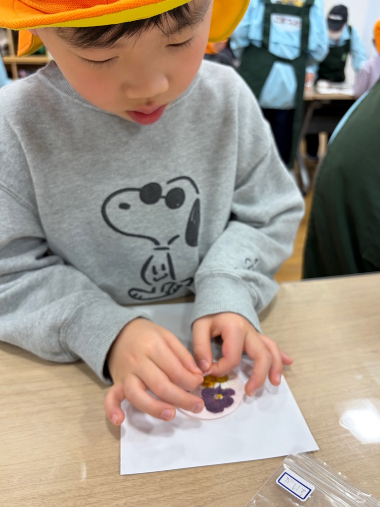 台紙に押し花を乗せる園児