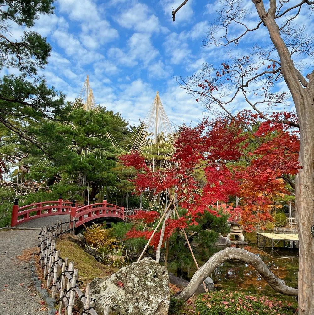芦城公園の紅葉