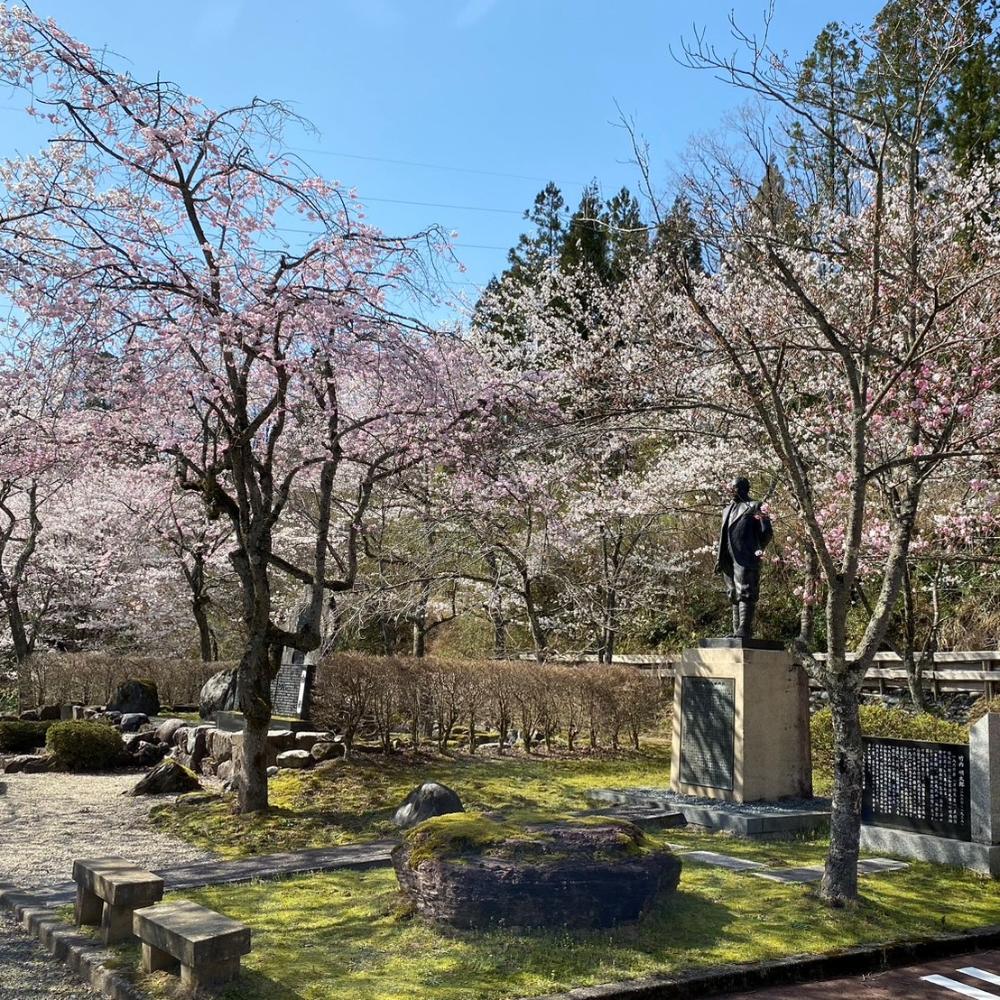 游泉寺ものがたりパークの桜
