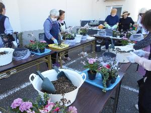 6名の女性と講師が花苗を植栽する様子