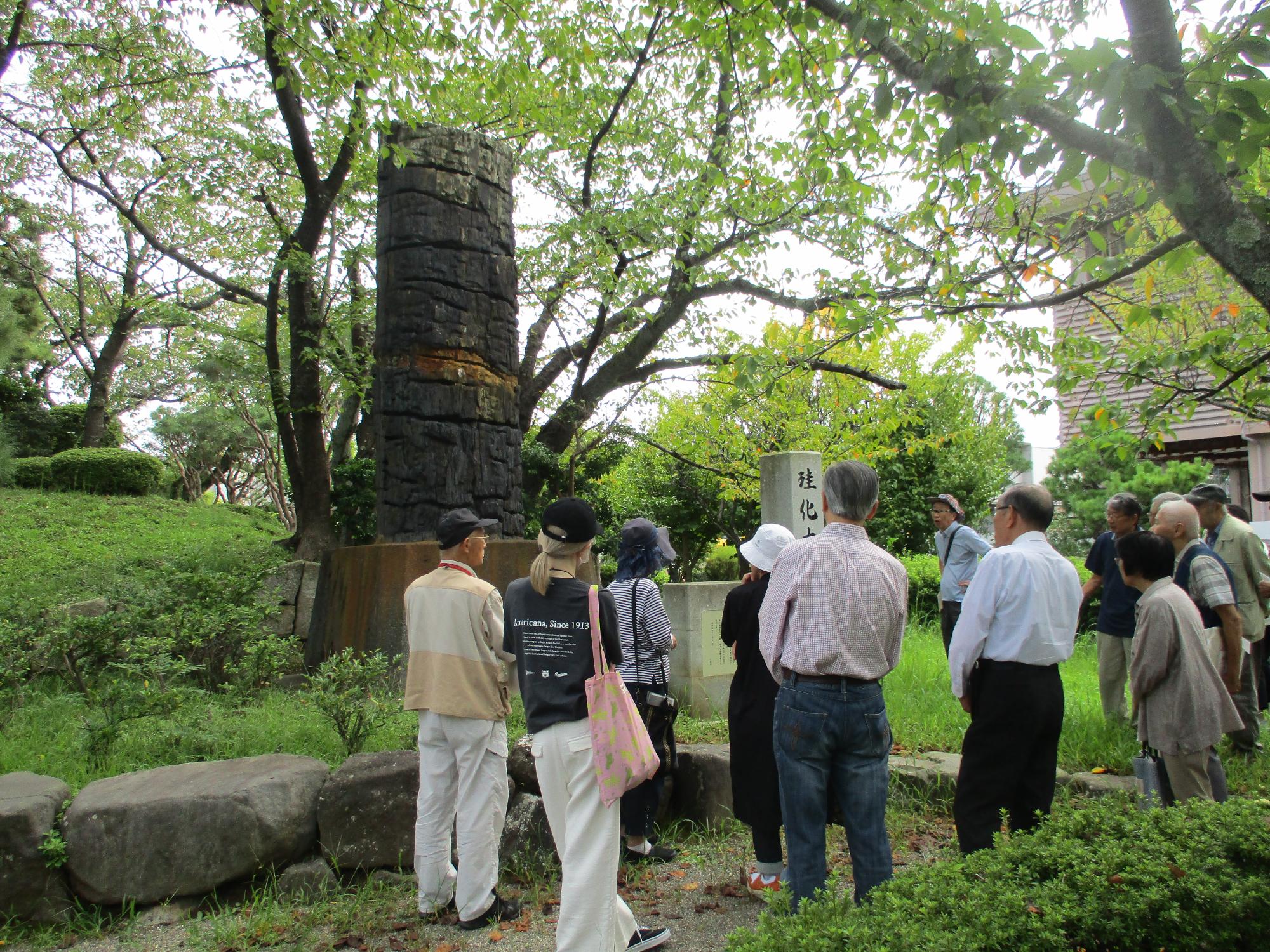 芦城公園内にある桂化木を見学する受講生たち
