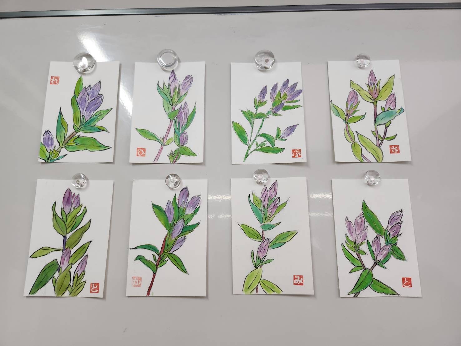 はがきに水彩画を使って描いた草花の作品が並んでいる様子