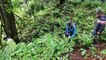 長原木橋跡まで坂を降りる様子