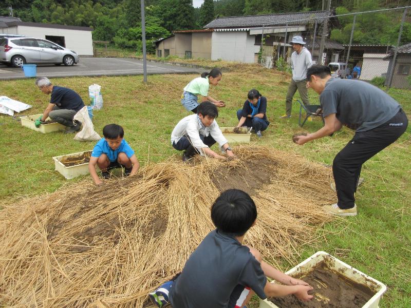 ワラをかぶせて泥をぬる様子
