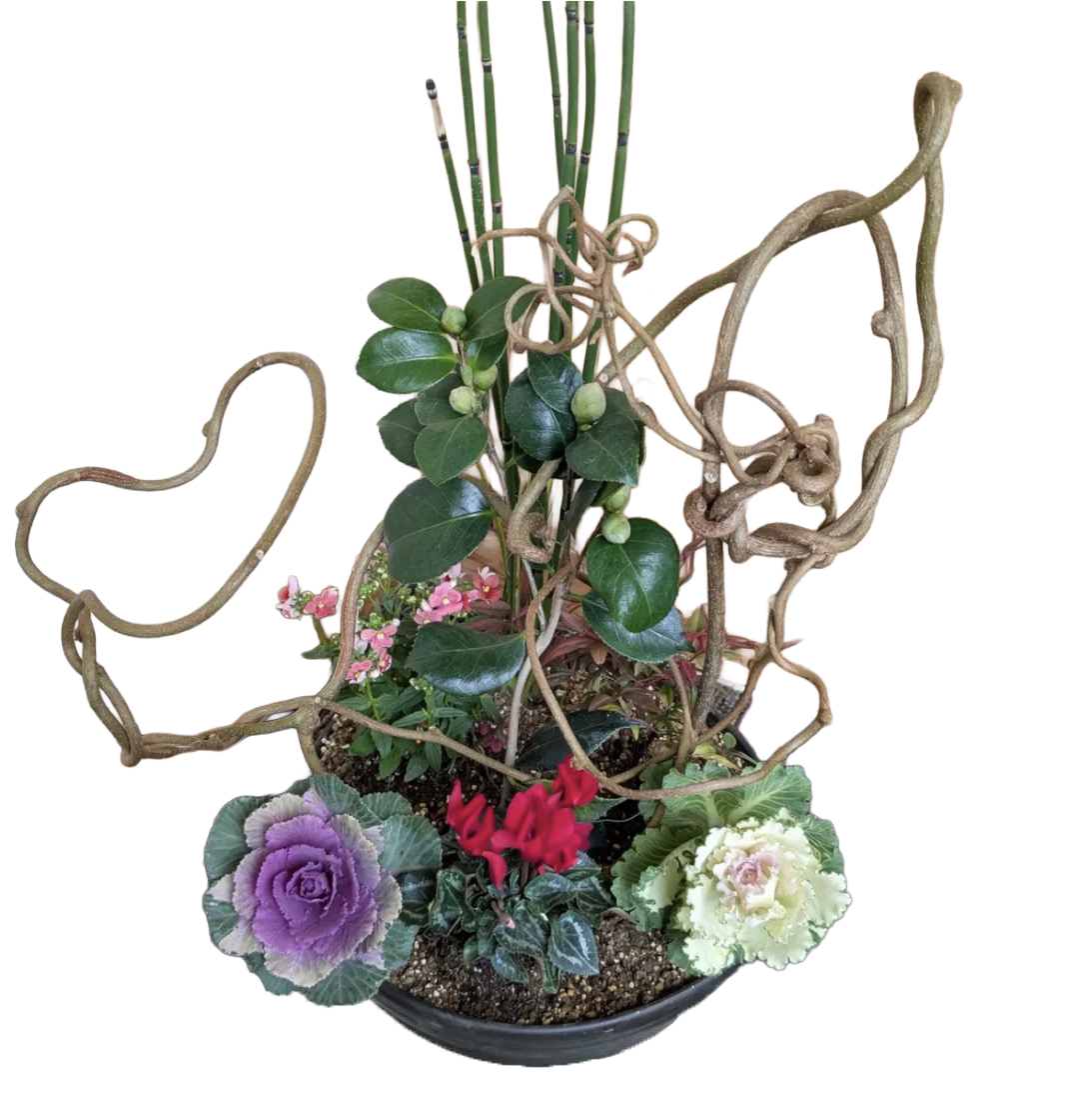 寄せ植え（令和7年の作品）