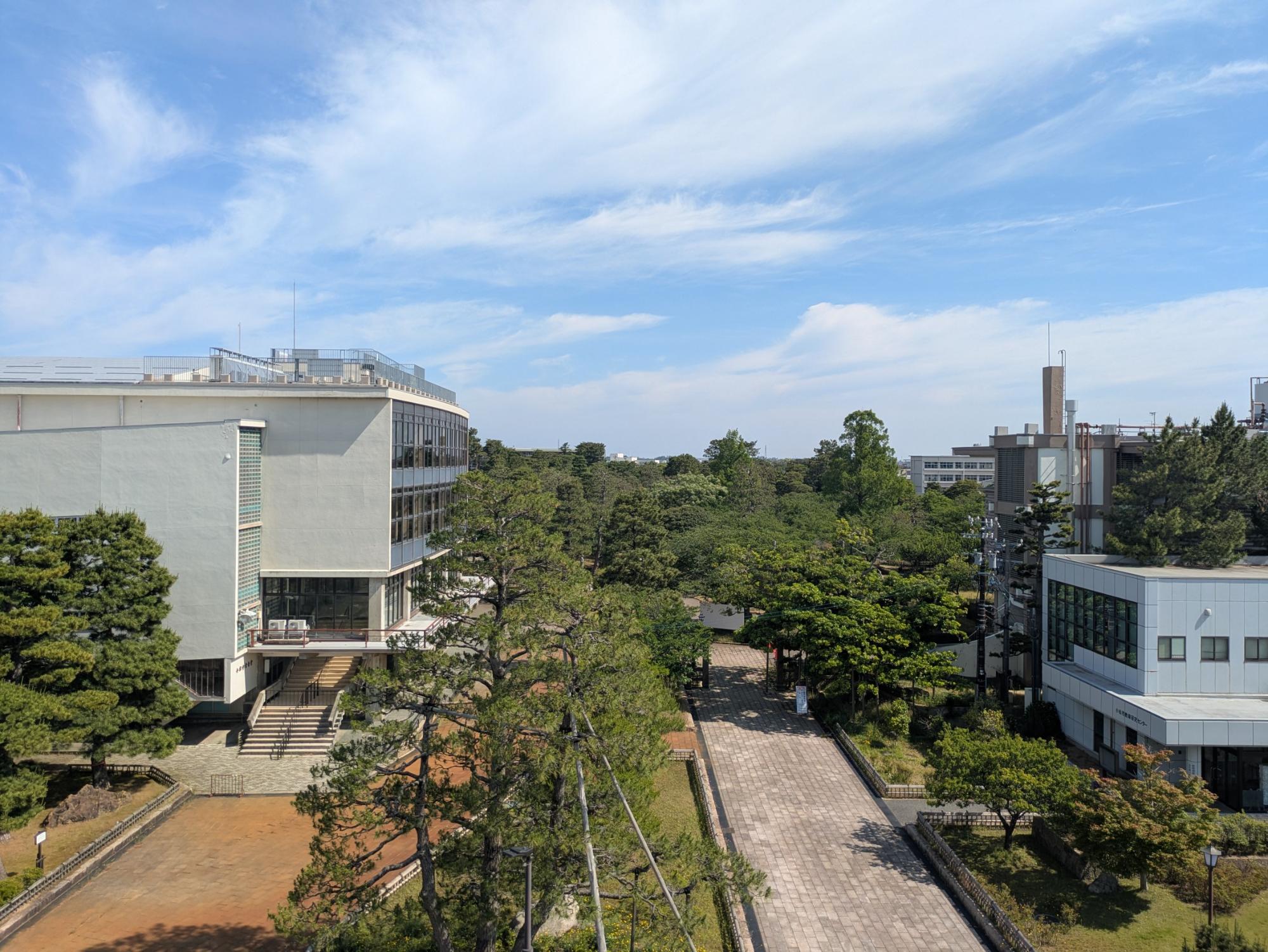 6月の写真