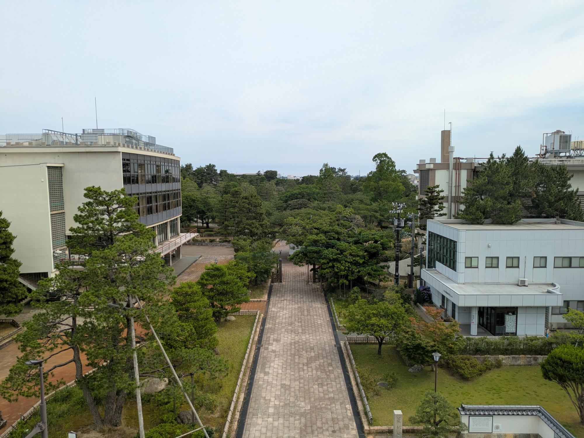 7月の写真