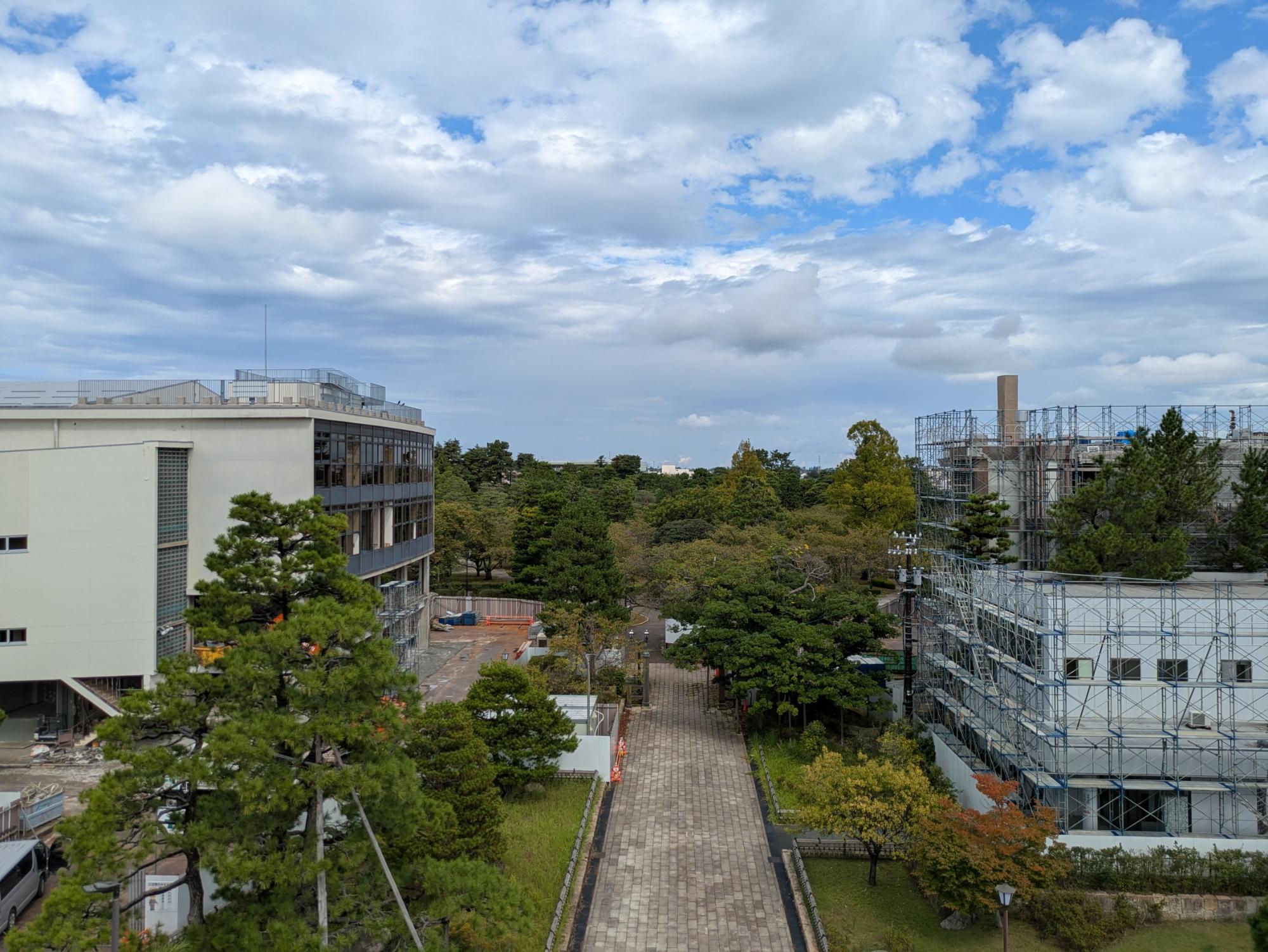 解体の様子