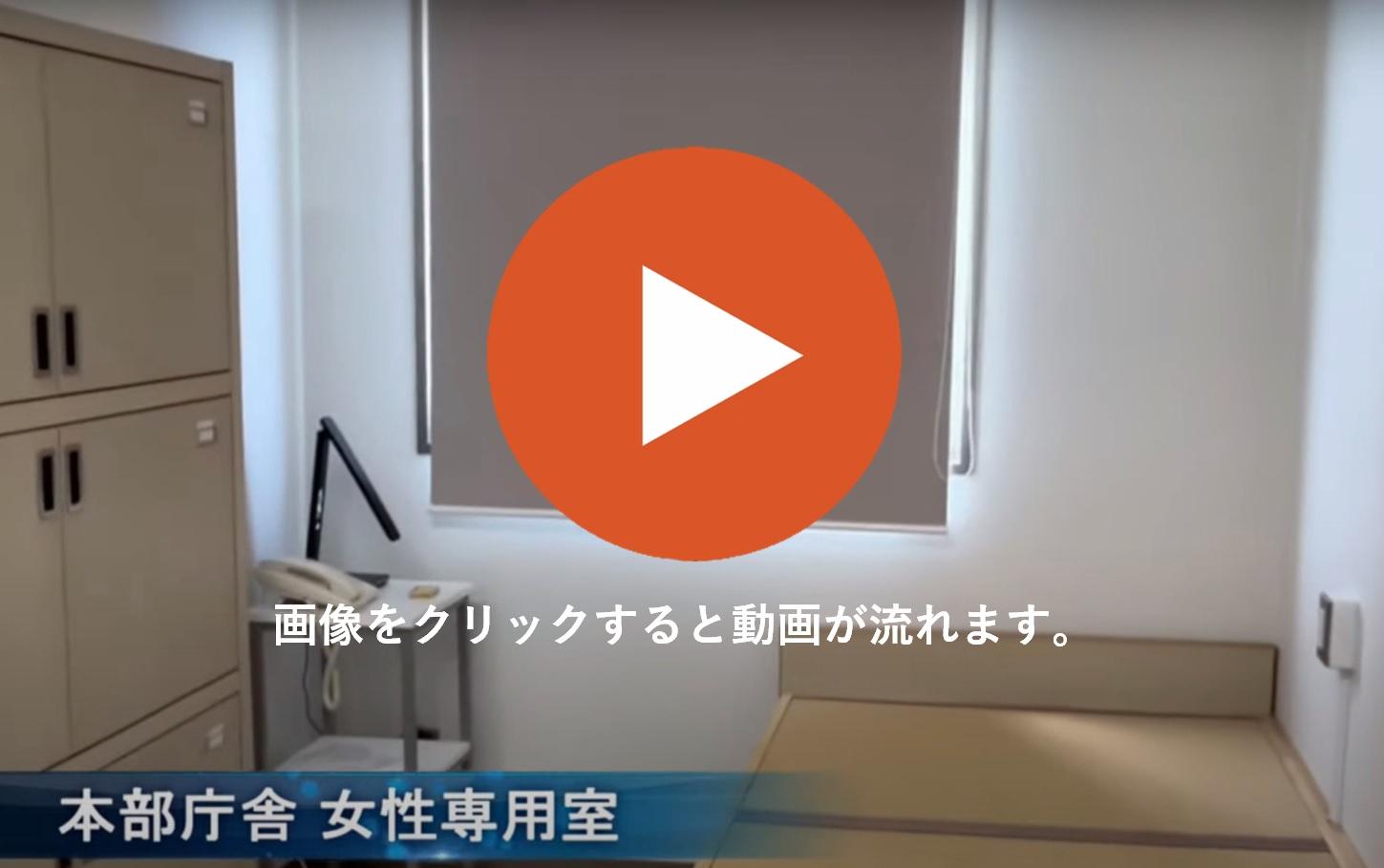 クリックすると動画が流れます